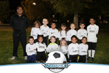 2013 Stingrays U8